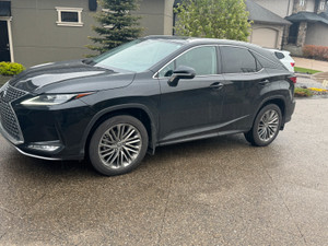 2020 Lexus RX Executive
