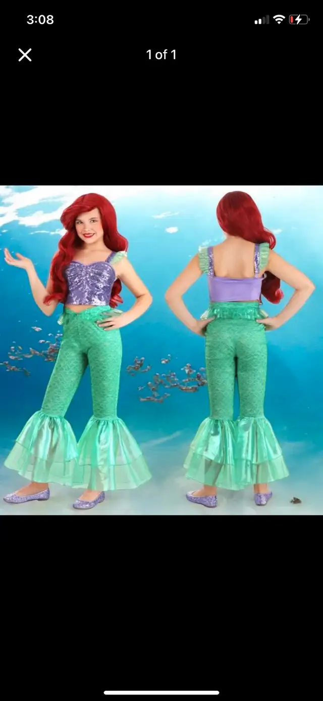 NEW Ariel Costume (top & pants)63738400247169120
