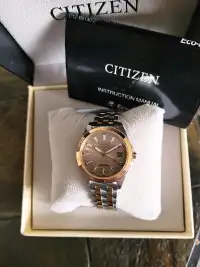 Citizen Women's EO1226-59X Eco-Drive 2-Tone Rose Dial Watch