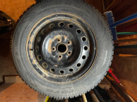 205/65/R16 Toyo Observe Winter tires on rims 