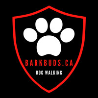 BarkBuds Dog Walking