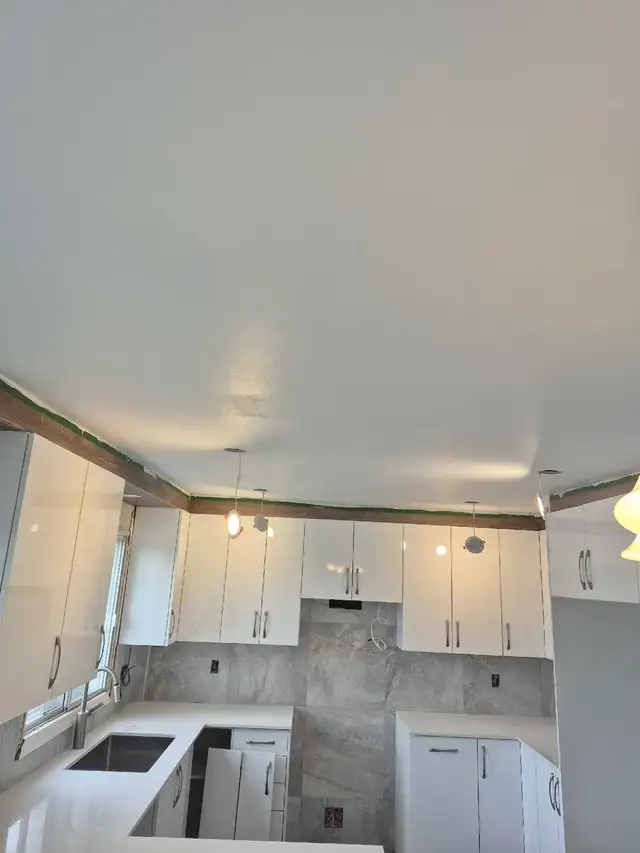 Building Painter (Need a Painter? Better Call Ash!)558834085800847363