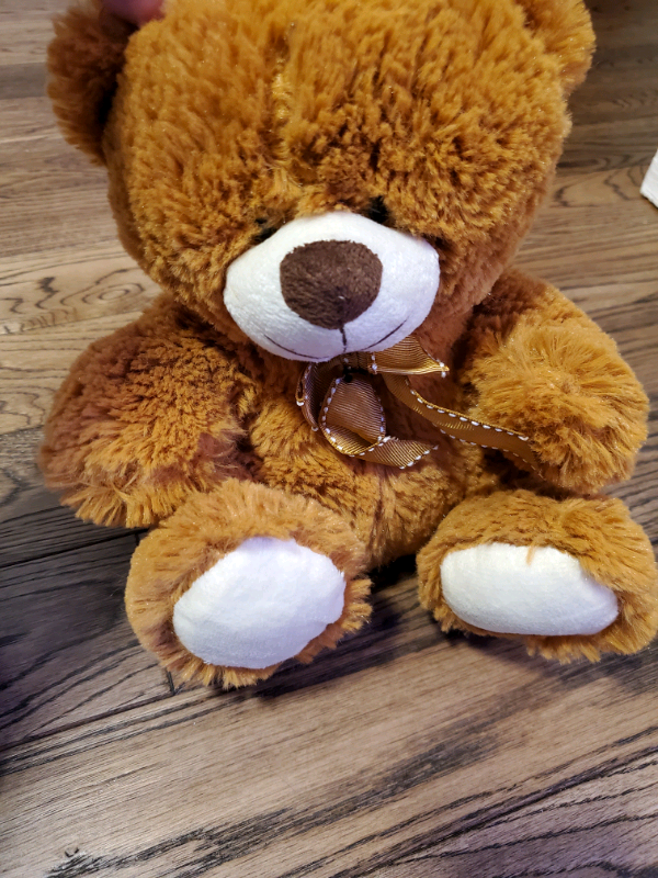 Stuffed Toys in Toys & Games in St. John's - Image 9