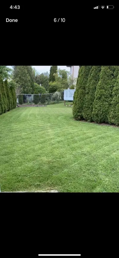 LAWN CUTTING , View more