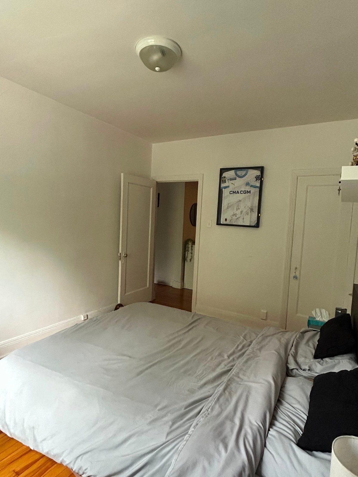 Appartement 4 1/2 ANIMAUX ACCEPTÉS — photo 3