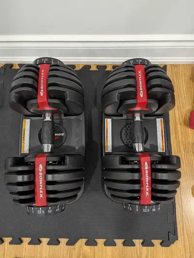 Bowflex adjustable dumbbells, View more