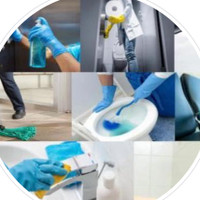 $100 any cleaning. Cleaning Service, Promotion Price for April 