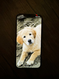 iPhone 12 Pro Max - 256 GB - USED