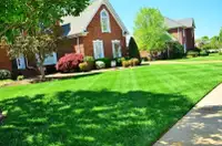 Premium Residential Lawn Mowing Service
