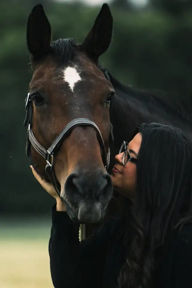 Equine  photographer63417618858883124