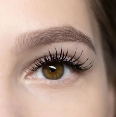 Lashes For Affordable Price, View more