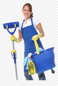 cleaning lady 4389908904 Nettoyage residentiel