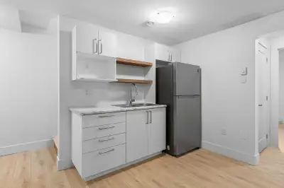 1 Bedroom 1 Bath Basement Apartment