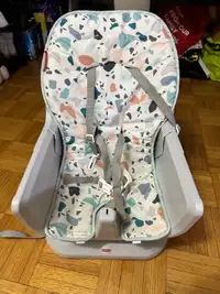 Fisherprice Infant-to-Toddler Dining Chair
