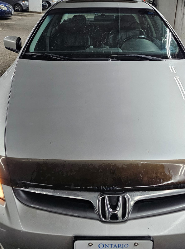 Honda Accord in great condition. in Cars & Trucks in Ottawa - Image 3