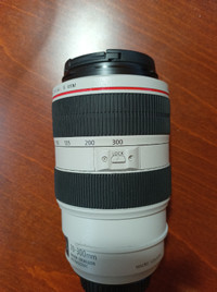 Canon EF 70-300 f/4-5.6L IS USM telephoto zoom lens