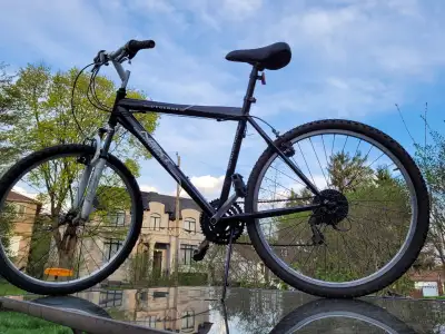 Large Commuter bike, View more