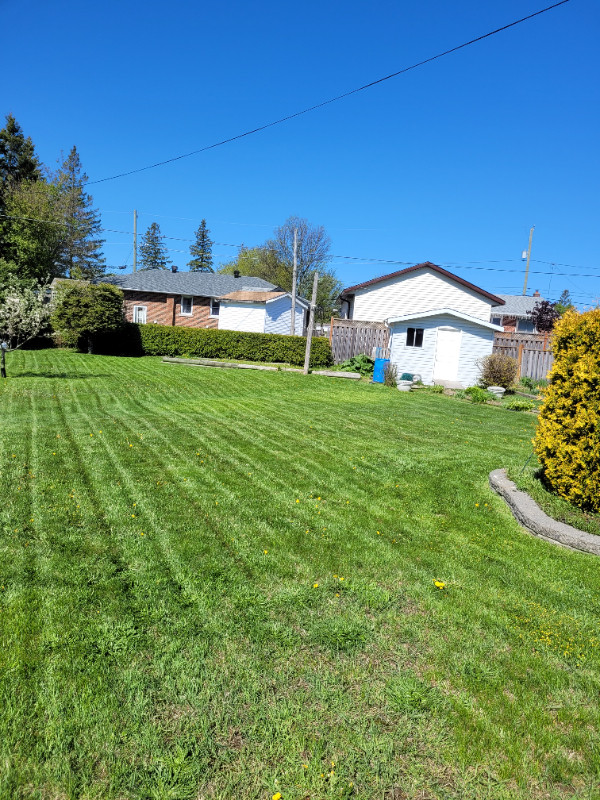 Lawn Maintenance Services: Mowing, Trimming & Spring Cleanups in Lawn, Tree Maintenance & Eavestrough in Sudbury - Image 4