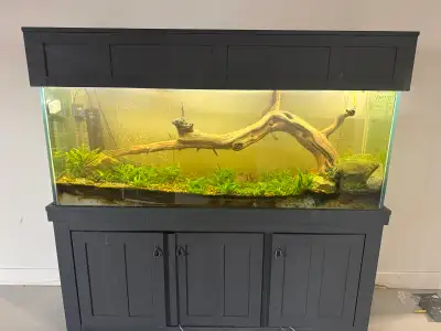 Aquarium + Fish, View more