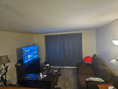 A room with queen bed for rent for $800/month in a fully furnished two bedroom apartment on the east...