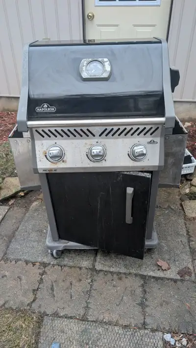 Napoleon Barbecue, View more