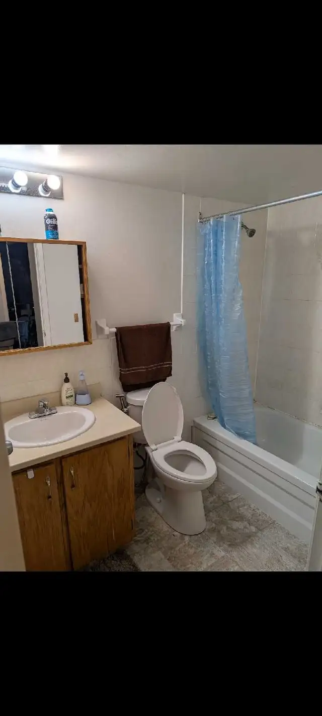 room for rent in Room Rentals & Roommates in Dartmouth - Image 4