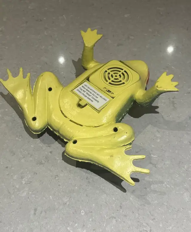 outdoor frog decor with sensor62864363185794121