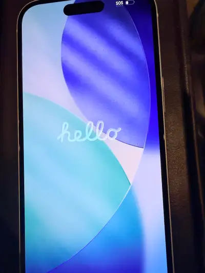 iPhone 15 256 storage 100 percent battery Blue 500.00