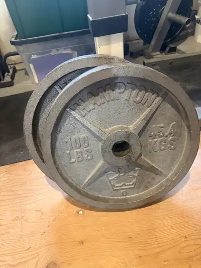 pair of 100lb Hampton weight plates, View more