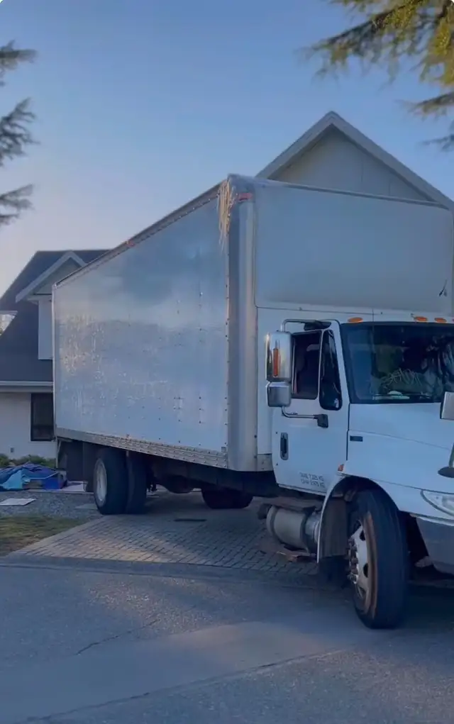 Movers $4964374280081795120