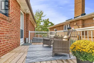 Bright and Well-Maintained Basement Apartment With Private Entrance and Outdoor Space. Features a Cl...