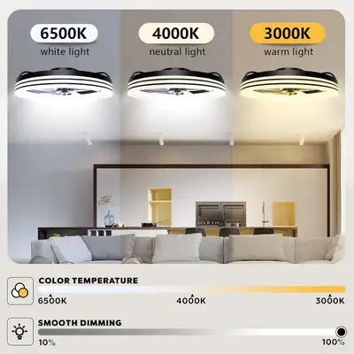Litemziiy Flush Mount Ceiling Fan with Light, 19.7" Low Profile,, View more