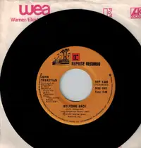 John Sebastian 45 rpm record WELCOME BACK KOTTER near mint vinyl