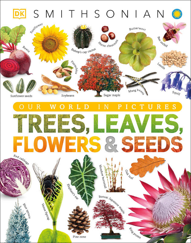 Book Trees, Leaves, Flowers and Seeds: A Visual Encyclopedia dans Livres jeunesse et ados  à Longueuil/Rive Sud