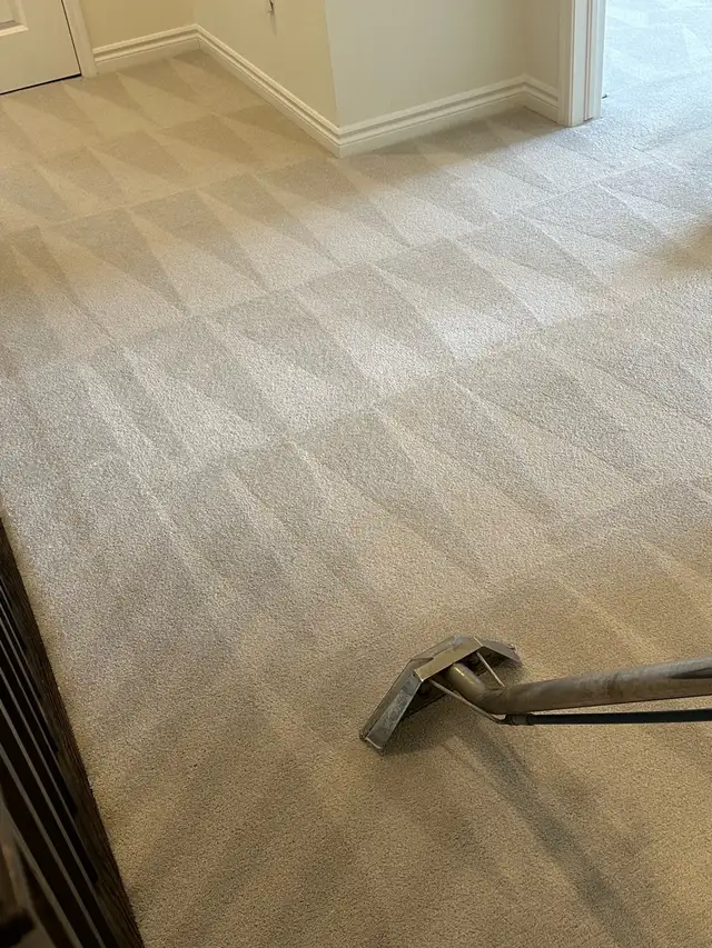 carpet, sofa, tiles and mattresses cleaning 63235550984451124