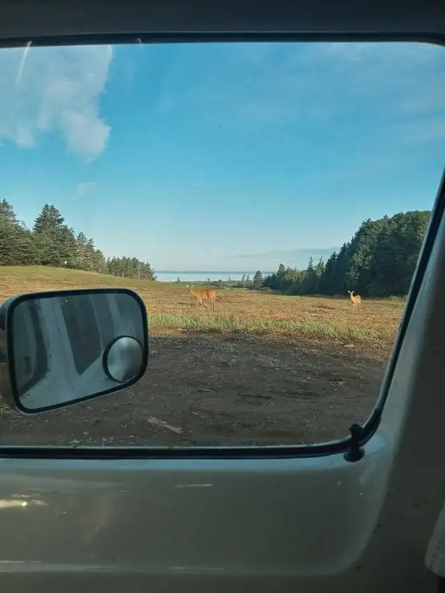 land with ocean views  in Land for Sale in City of Halifax - Image 2