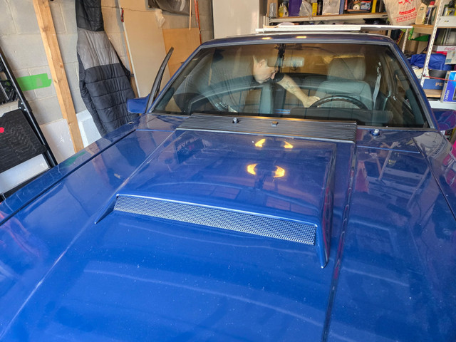 Blue 1987 Mustang Gt Roller/Shell in Cars & Trucks in Markham / York Region - Image 3