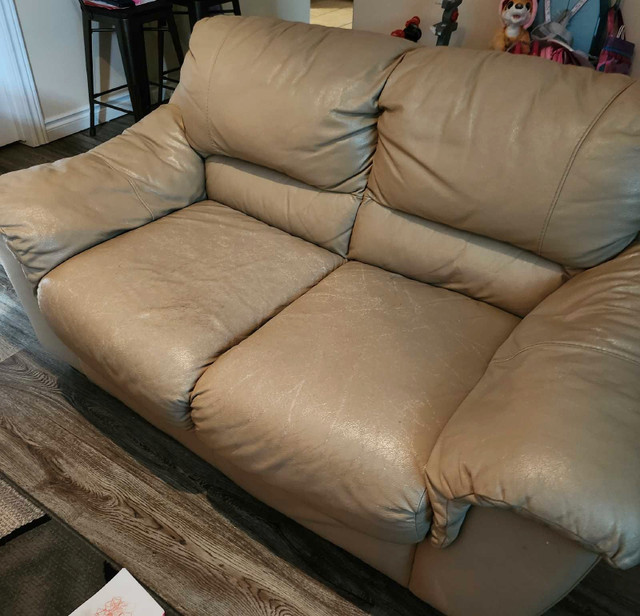 CHEAP COMFY LOVE SEAT! in Couches & Futons in Edmonton - Image 2