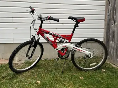 Red Infinity Gravity Junior Dual Suspension Mountain Bike, View more