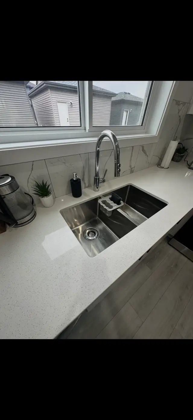 Professional House Cleaner427927857047152642