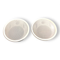 Pair of EAW 2 way ceiling mount speakers