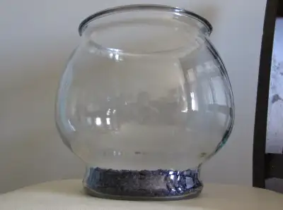 FISH BOWLs  - Glass -  fish bowl - ((2)), View more