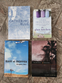 Book lot: drama-themed fiction books - ALL 4 books for $5