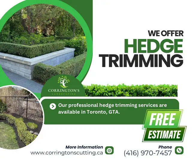 Landscape/Snow removal in Lawn, Tree Maintenance & Eavestrough in Mississauga / Peel Region - Image 8