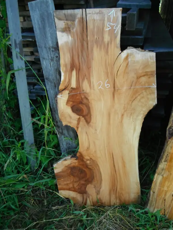 Live edge slabs in Hobbies & Crafts in Ottawa - Image 7