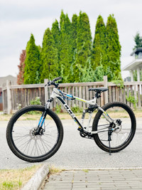 Ccm shadow dual discount suspension mountain bike