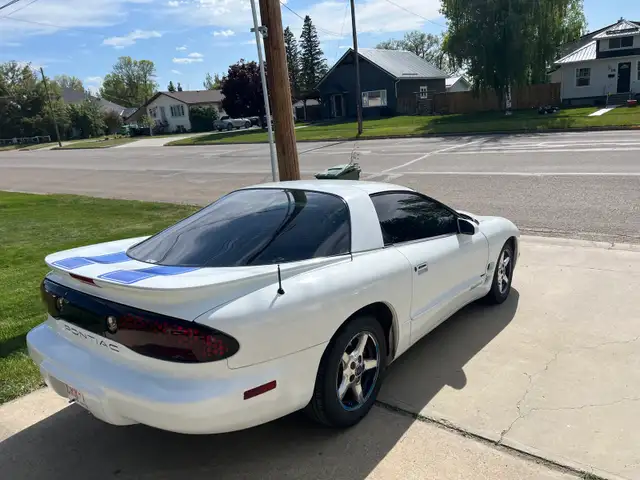 beautiful 98 firebird576046251315056644