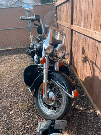 Harley Softtail for sale