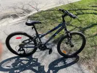 For sale 24 inch  wheel Airwalk Transfer mountain bike