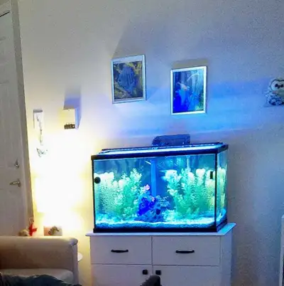 aquarium , View more